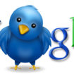 google et twitter lamour fou lamour vache 1