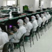 iphone 6 les fabricants embauchent de nouveaux employes pour la production 1