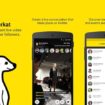 meerkat google play store 1