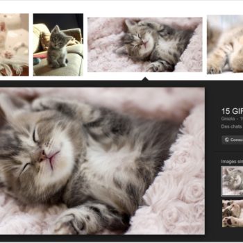 google images comment recuperer bouton voir image