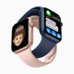 Apple watch experience for entir