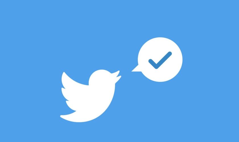 Twitter Accepte A Nouveau Les Demandes De Verification