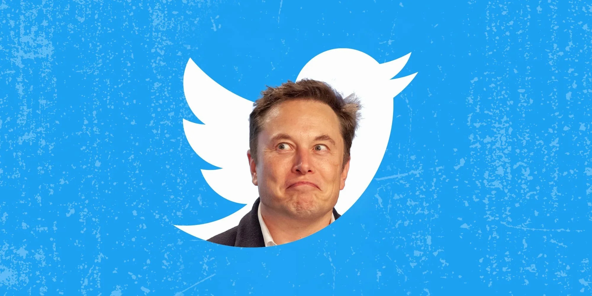 elon musk twitter jpg