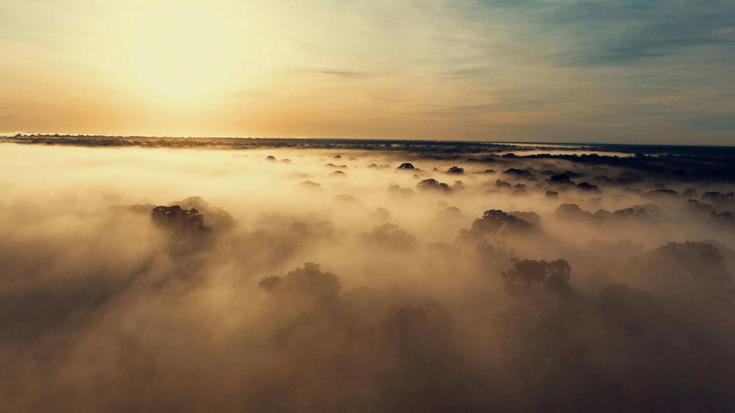 DJI révolutionne la surveillance de la biodiversité avec des drones collecteurs d’ADN