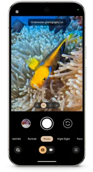 Pixel 9 Pro Underwater Images png