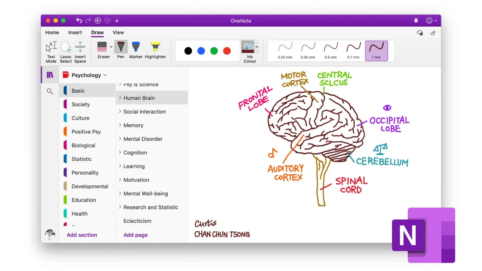 OneNote : Plus qu'un carnet de notes, un véritable espace de travail pour vos recherches