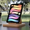 iPad mini : Enfin un écran OLED en 2026 ?