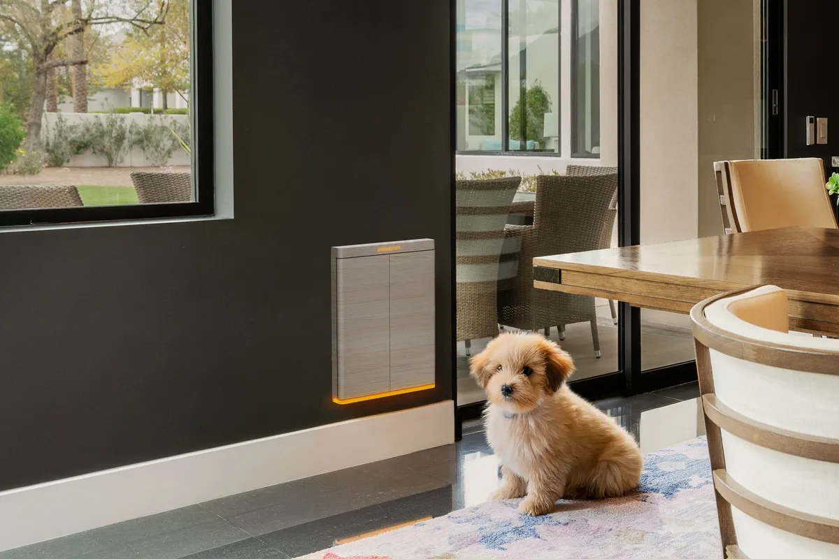 Pawport : La porte connectée pour animaux se renforce au CES 2025