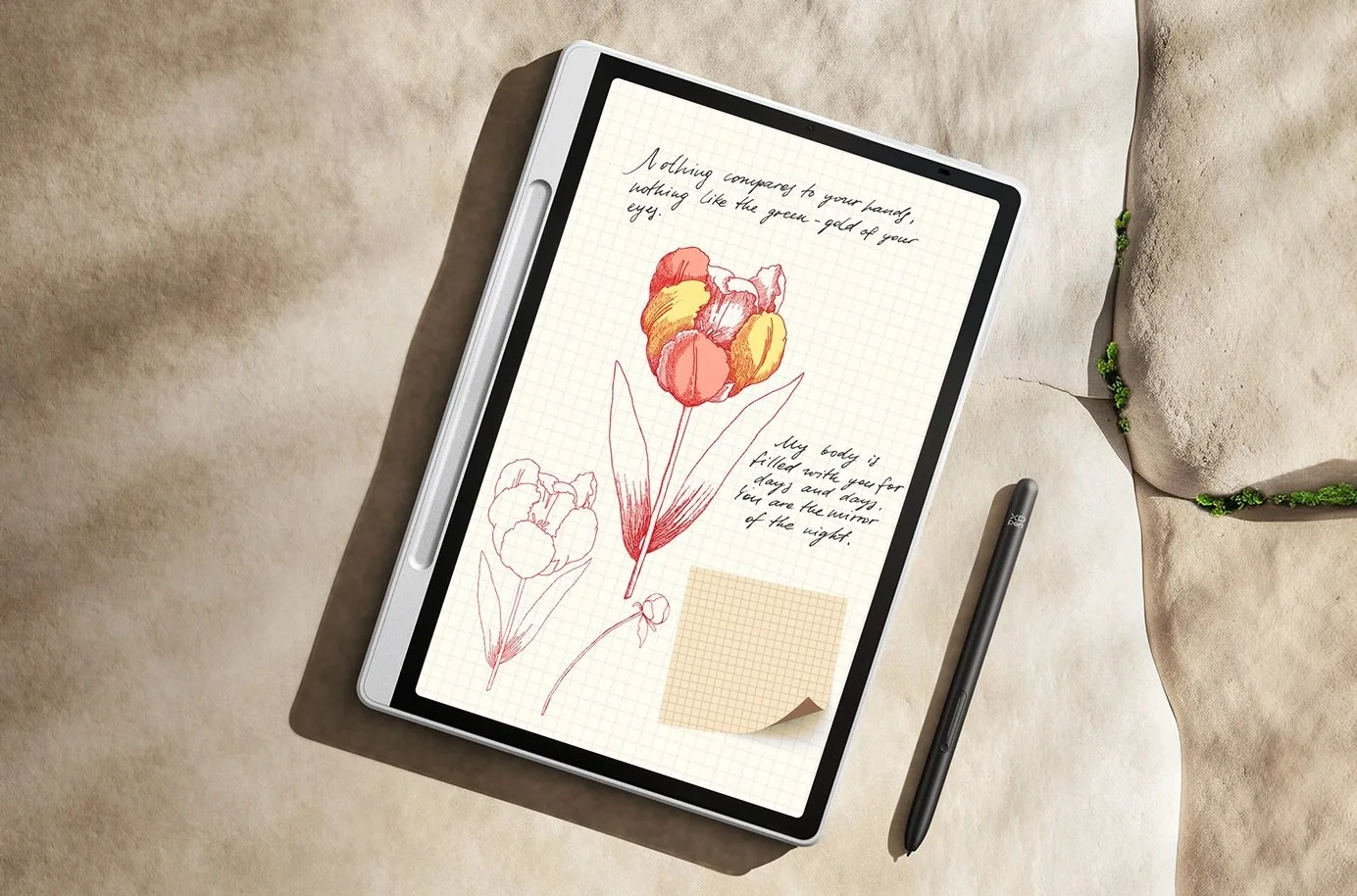 XPPen Magic Note Pad : une tablette Android pour le dessin et la prise de notes